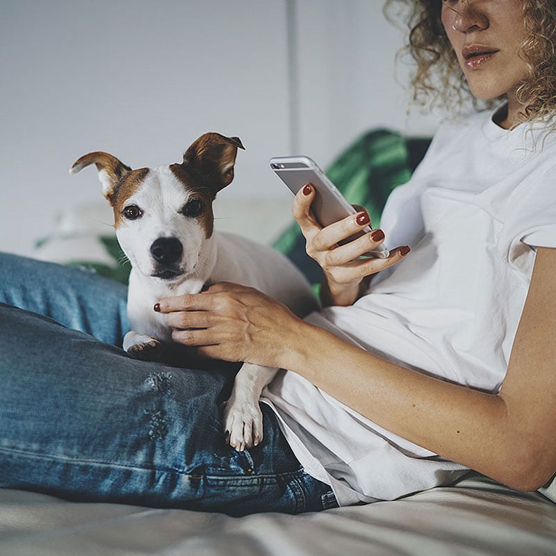 Pet Friendly Apartments in Manchester City Centre Vita Living